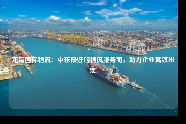 龙禧国际物流：中东最好的物流服务商，助力企业高效出海