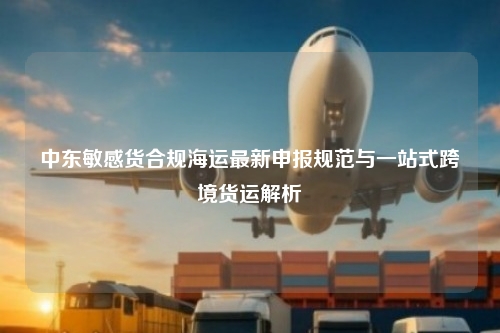 中东敏感货合规海运最新申报规范与一站式跨境货运解析