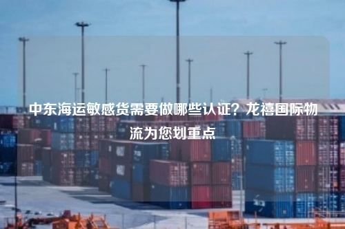中东海运敏感货需要做哪些认证？龙禧国际物流为您划重点