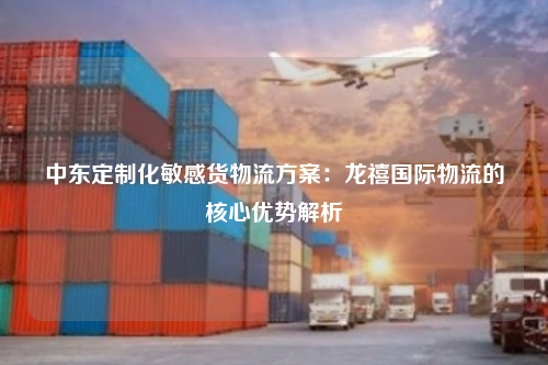 中东定制化敏感货物流方案：龙禧国际物流的核心优势解析