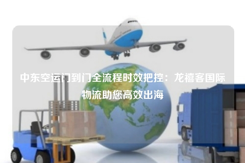 中东空运门到门全流程时效把控:龙禧客国际物流助您高效出海