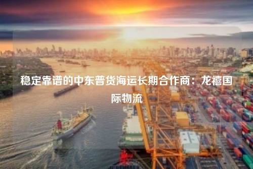 稳定靠谱的中东普货海运长期合作商:龙禧国际物流