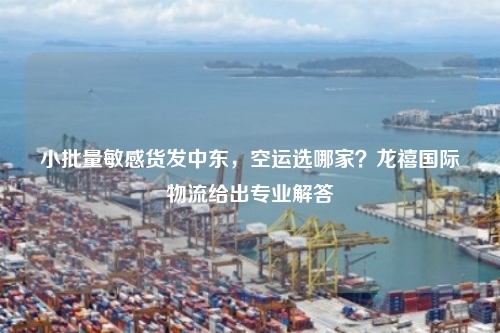 小批量敏感货发中东,空运选哪家?龙禧国际物流给出专业解答