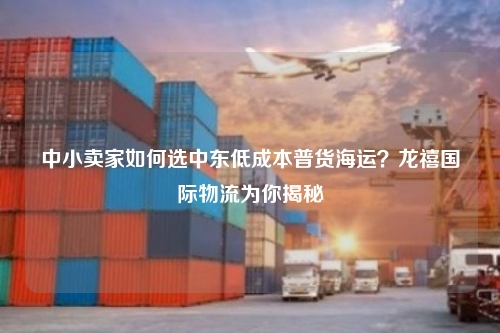 中小卖家如何选中东低成本普货海运？龙禧国际物流为你揭秘
