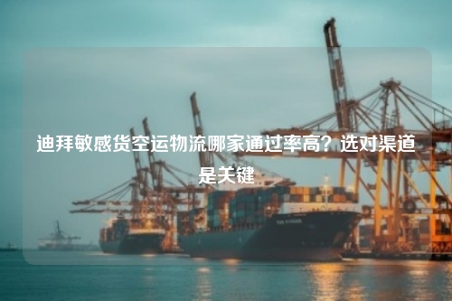 迪拜敏感货空运物流哪家通过率高?选对渠道是关键