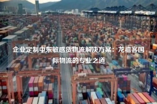 企业定制中东敏感货物流解决方案：龙禧客国际物流的专业之道