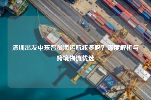 深圳出发中东普货海运航线多吗?深度解析与跨境物流优选