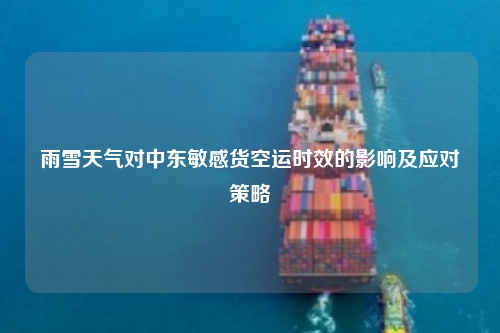 雨雪天气对中东敏感货空运时效的影响及应对策略