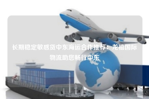 长期稳定敏感货中东海运合作推荐：龙禧国际物流助您畅行中东