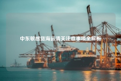 中东敏感货海运清关注意事项全解析