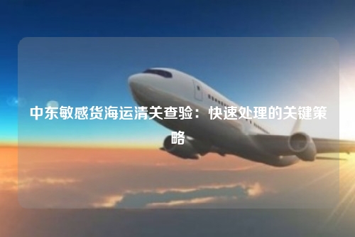 中东敏感货海运清关查验:快速处理的关键策略