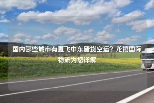 国内哪些城市有直飞中东普货空运？龙禧国际物流为您详解