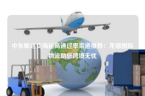 中东敏感货海运高通过率渠道推荐：龙禧国际物流助您跨境无忧