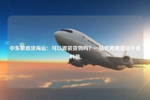 中东敏感货海运:可以混装货物吗?一站式跨境货运干货科普
