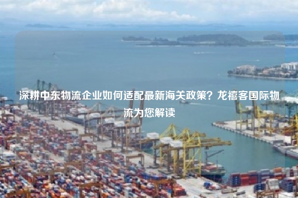 深耕中东物流企业如何适配最新海关政策?龙禧客国际物流为您解读
