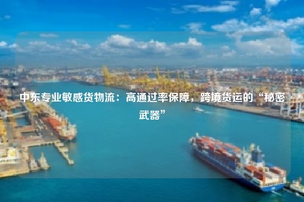 中东专业敏感货物流：高通过率保障，跨境货运的“秘密武器”
