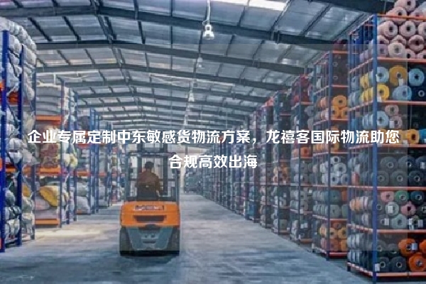 企业专属定制中东敏感货物流方案，龙禧客国际物流助您合规高效出海