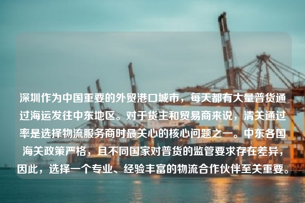 深圳作为中国重要的外贸港口城市,每天都有大量普货通过海运发往中东地区。对于货主和贸易商来说,清关通过率是选择物流服务商时最关心的核心问题之一。中东各国海关政策严格,且不同国家对普货的监管要求存在差异,因此,选择一个专业、经验丰富的物流合作伙伴至关重要。
