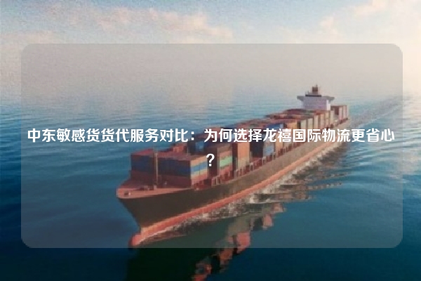 中东敏感货货代服务对比：为何选择龙禧国际物流更省心？