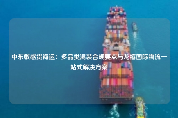 中东敏感货海运:多品类混装合规要点与龙禧国际物流一站式解决方案