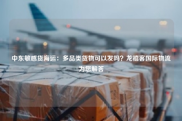 中东敏感货海运:多品类货物可以发吗?龙禧客国际物流为您解答