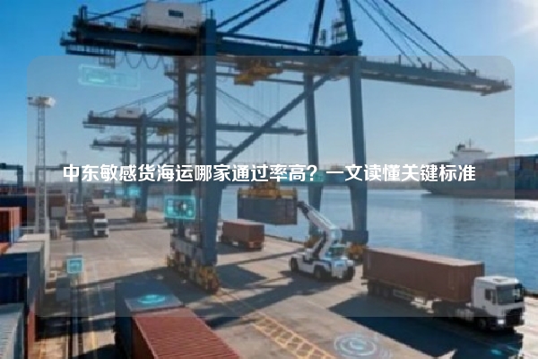 中东敏感货海运哪家通过率高?一文读懂关键标准