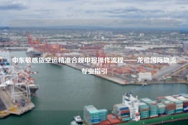 中东敏感货空运精准合规申报操作流程——龙禧国际物流专业指引