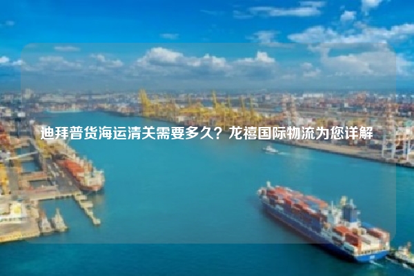 迪拜普货海运清关需要多久？龙禧国际物流为您详解