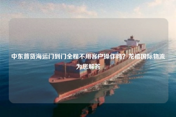 中东普货海运门到门全程不用客户操作吗？龙禧国际物流为您解答