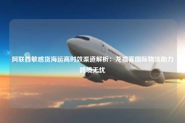阿联酋敏感货海运高时效渠道解析：龙禧客国际物流助力跨境无忧