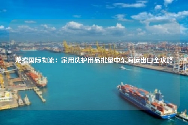 龙禧国际物流：家用洗护用品批量中东海运出口全攻略