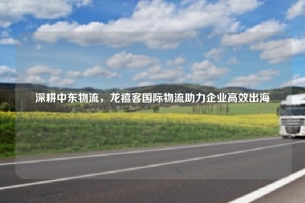 深耕中东物流，龙禧客国际物流助力企业高效出海