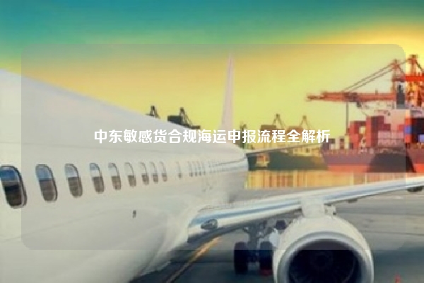 中东敏感货合规海运申报流程全解析