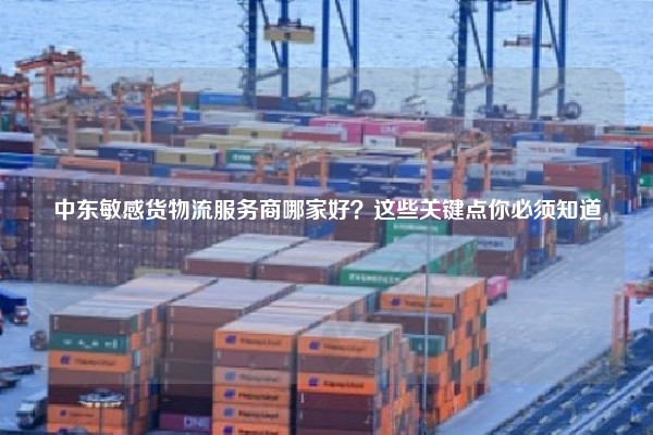 中东敏感货物流服务商哪家好？这些关键点你必须知道
