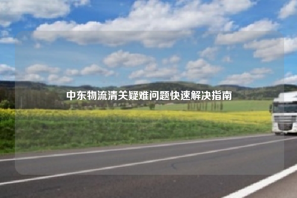 中东物流清关疑难问题快速解决指南