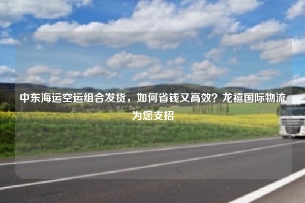 中东海运空运组合发货，如何省钱又高效？龙禧国际物流为您支招