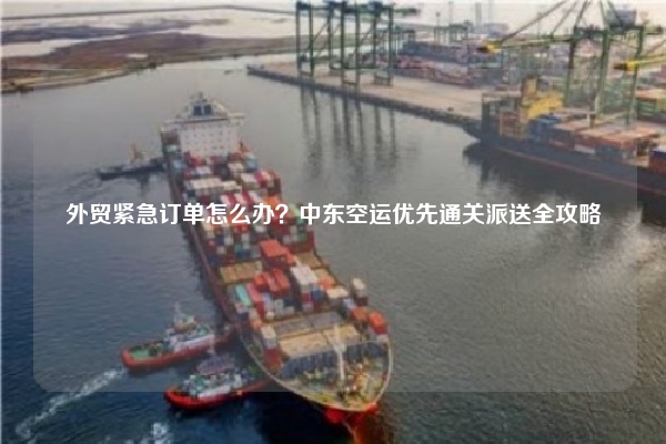 外贸紧急订单怎么办？中东空运优先通关派送全攻略