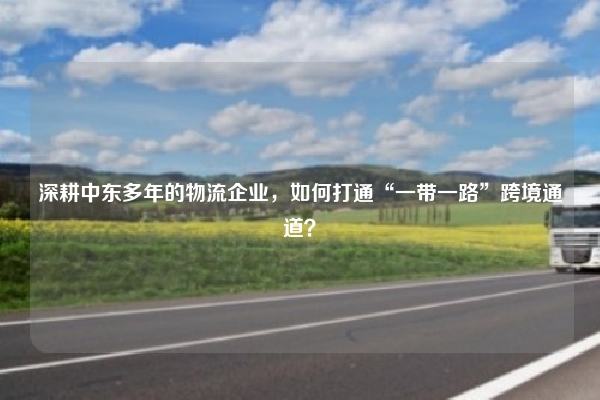 深耕中东多年的物流企业，如何打通“一带一路”跨境通道？