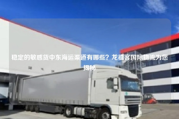 稳定的敏感货中东海运渠道有哪些？龙禧客国际物流为您揭秘