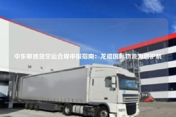 中东敏感货空运合规申报指南：龙禧国际物流为您护航