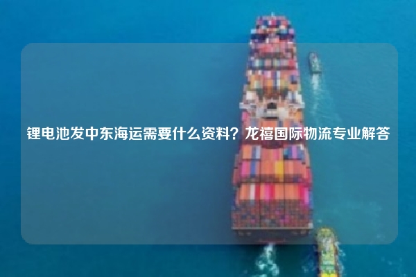 锂电池发中东海运需要什么资料？龙禧国际物流专业解答