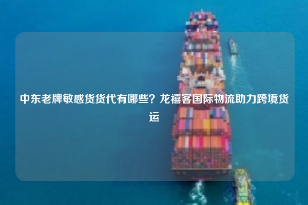中东老牌敏感货货代有哪些？龙禧客国际物流助力跨境货运