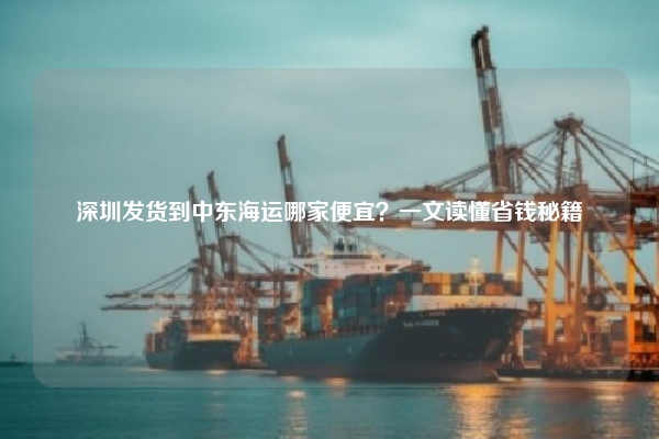 深圳发货到中东海运哪家便宜？一文读懂省钱秘籍