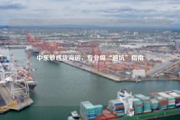 中东敏感货海运，专业级“避坑”指南