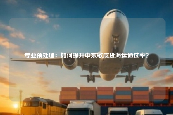 专业预处理：如何提升中东敏感货海运通过率？