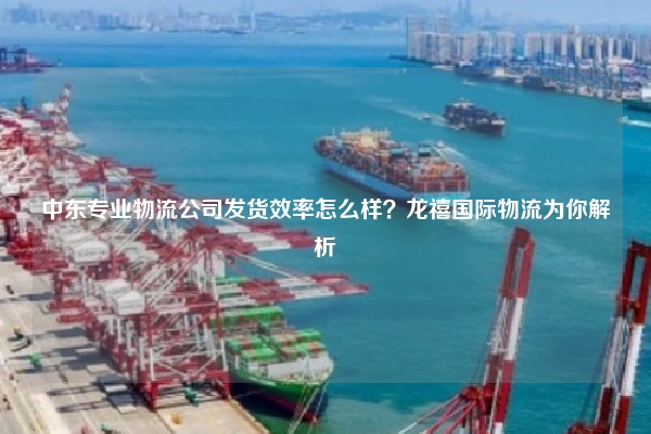 中东专业物流公司发货效率怎么样？龙禧国际物流为你解析
