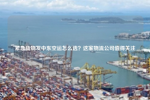 紧急货物发中东空运怎么选？这家物流公司值得关注