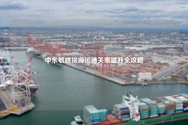 中东敏感货海运通关率提升全攻略