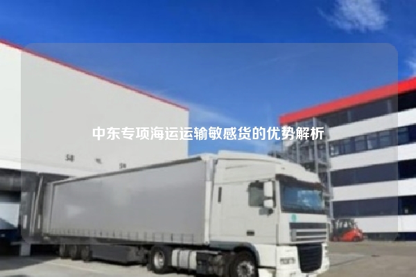 中东专项海运运输敏感货的优势解析