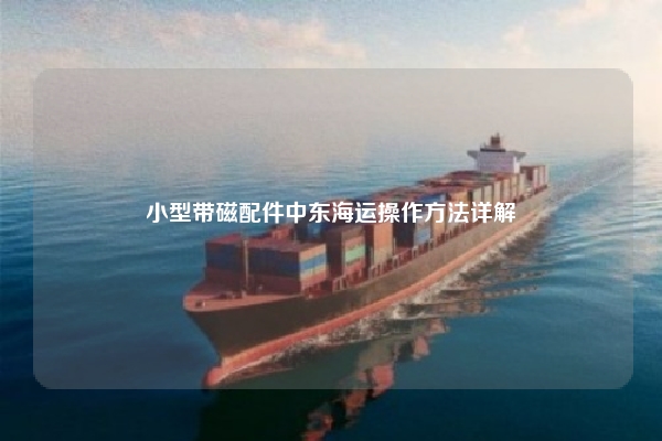 小型带磁配件中东海运操作方法详解